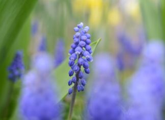 Co Cię wyróżnia na tle innych kandydatów? Co Cię wyróżnia na tle innych kandydatów?