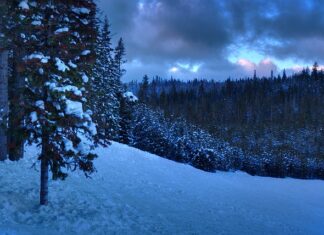 Ile kosztuje obrona licencjatu? Ile kosztuje obrona licencjatu?