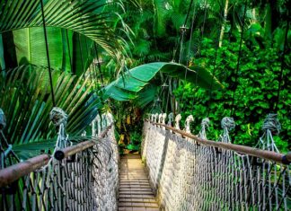 Jak sprzedawać kursy w internecie? Jak sprzedawać kursy w internecie?