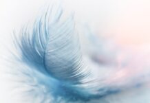 Jak działają platformy e-commerce? Jak działają platformy e-commerce?