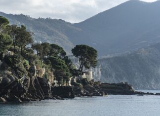 Ile kosztuje 1 godzina na siłowni? Ile kosztuje 1 godzina na siłowni?