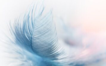 Jaka platforma do korepetycji online? Jaka platforma do korepetycji online?