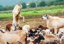 Kiedy konieczne jest sporządzenie biznesplanu? Kiedy konieczne jest sporządzenie biznesplanu?
