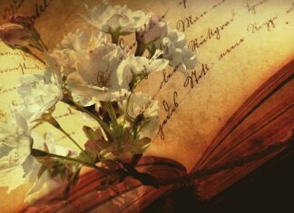 Co to jest skrypt szkoleniowy? Co to jest skrypt szkoleniowy?