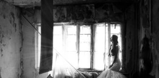 Jak udokumentować zaniechanie inwestycji? Jak udokumentować zaniechanie inwestycji?