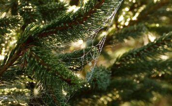 Na jakie potrzeby odpowiada projekt? Na jakie potrzeby odpowiada projekt?