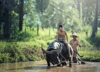Jak pielęgnować ranę po skaleczeniu? Jak pielęgnować ranę po skaleczeniu?